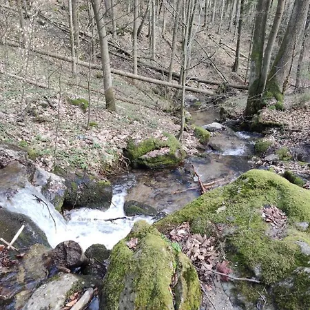 Janina Kwatera prywatna Lądek-Zdrój