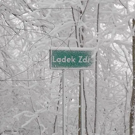 홈스테이 Janina Lądek-Zdrój