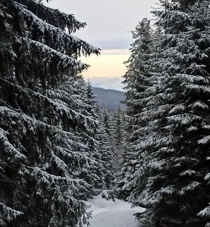 Janina Lądek-Zdrój