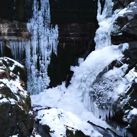 Janina Kwatera prywatna *