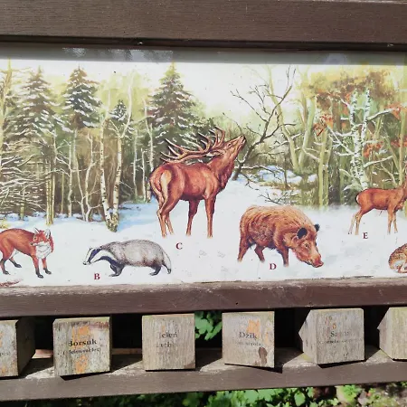 Kwatera prywatna Janina