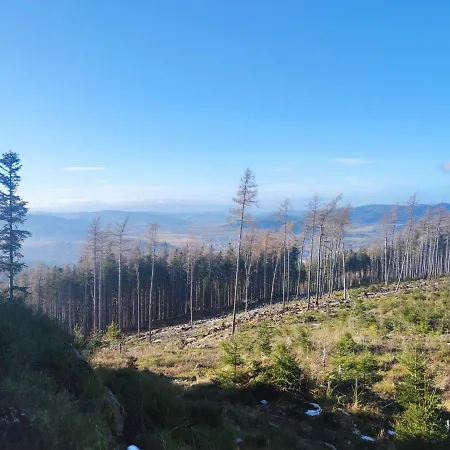 民宿 雅尼娜别墅旅馆 Lądek-Zdrój