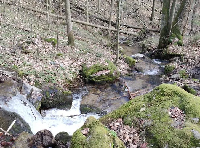 Janina Privatunterkunft Lądek-Zdrój