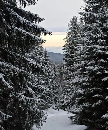 Janina Lądek-Zdrój