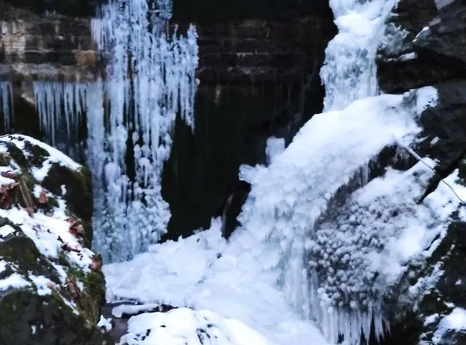 Janina Kwatera prywatna *