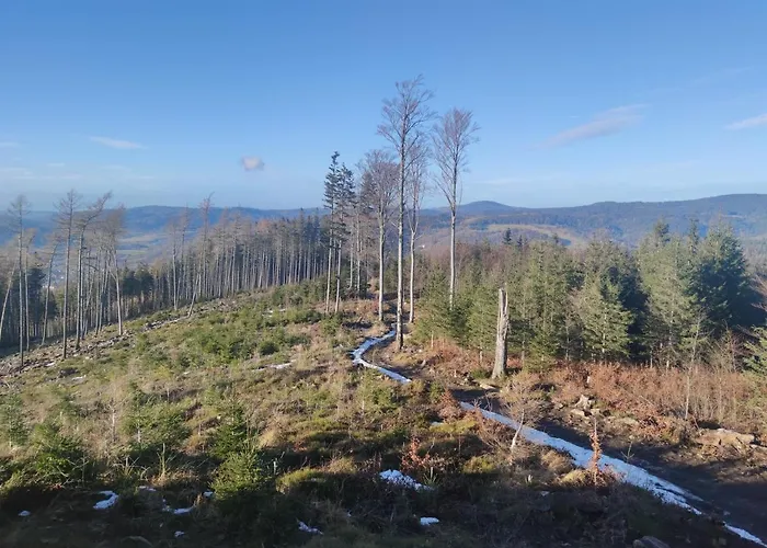 Janina * Lądek-Zdrój