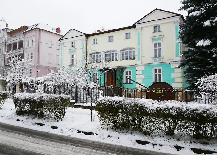 民宿 雅尼娜别墅旅馆 *